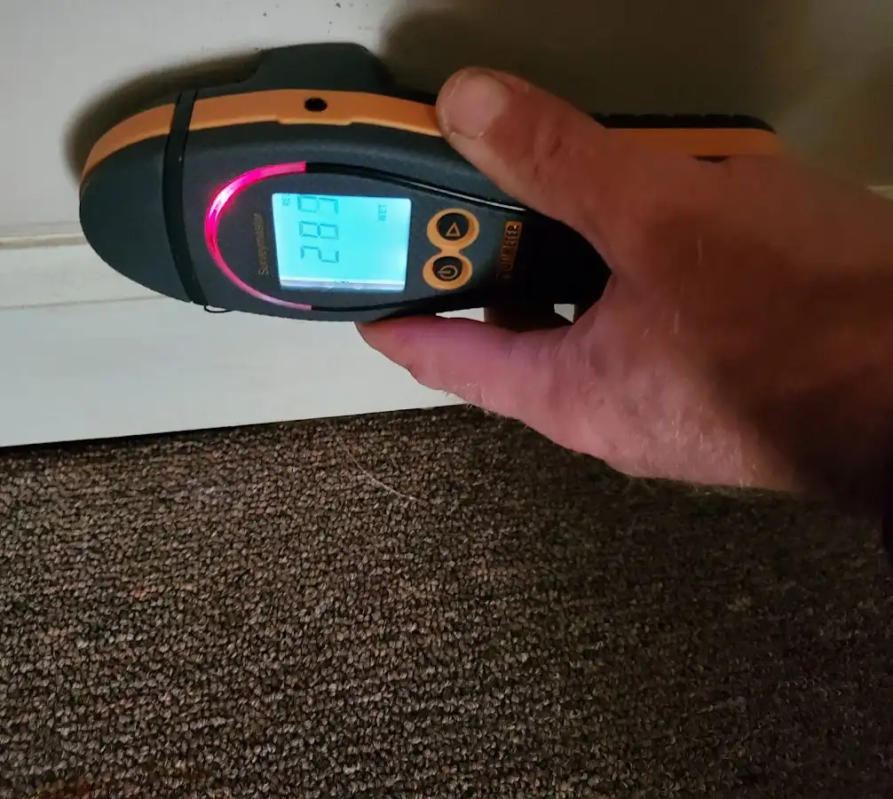 Moisture detection at baseboard during Burst Pipe Cleanup in Johnson Lane